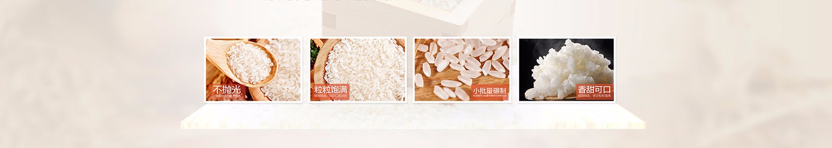 绍兴市嘉信实业有限公司